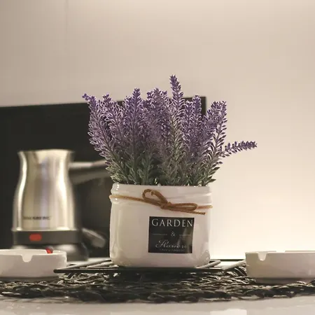 Studio Apartments Lejlighed Novi Pazar