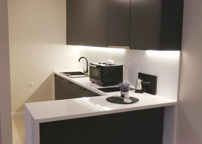 Studio Apartments 아파트 노비파자르
