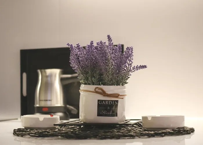 Studio Apartments 아파트 노비파자르